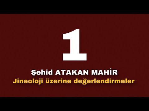 Atakan Mahir | Jineoloji Üzerine Değerlendirmeler | 1