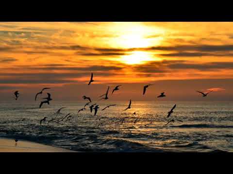 Grupi Nur - Të mirat në xhenet