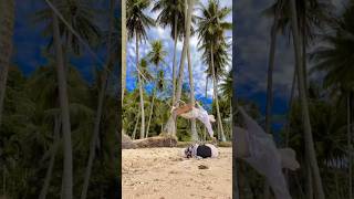 Download lagu kejadian lucu bikin ngakak saat dua gadis cantik main ayunan ‼️#ngakak #kocak #shorts mp3