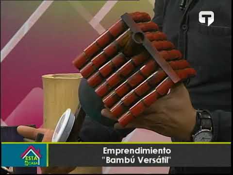 Emprendimiento Bambú Versátil