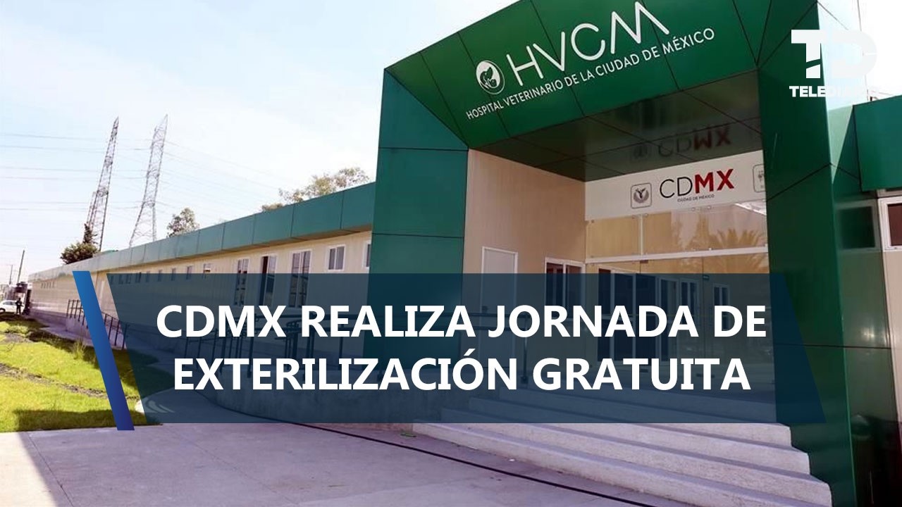 Hospital Veterinario de CDMX ofrece esterilización gratuita