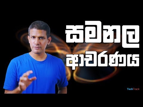 What Is Butterfly Effect?