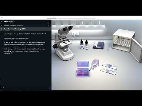 Pearson Interactive Labs | Mitosis