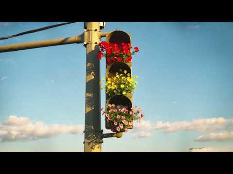 Bilinmeyen Bir Gül 🌹