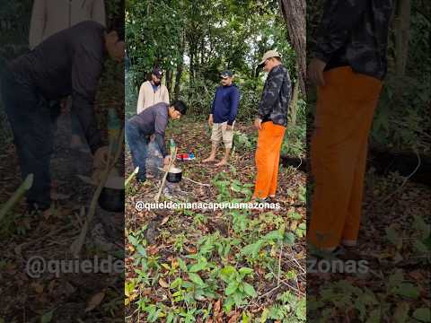 Caldeirada em meio à natureza no Amazonas
