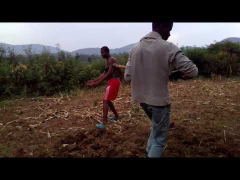 shida mingi latest song by Mr Nick.