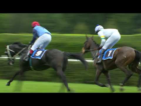 29. 8. 2020 - 1. dostih - Cena AUTO IN s Kapkou naděje