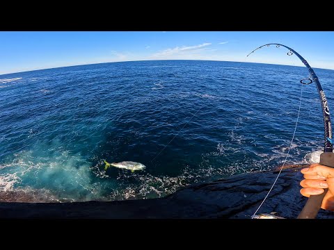 Huge Fish from the Cliffs !