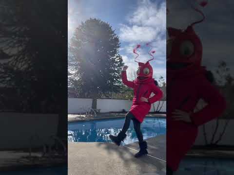 Rock Lobster #shorts