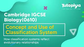 Concept and uses of classification systems