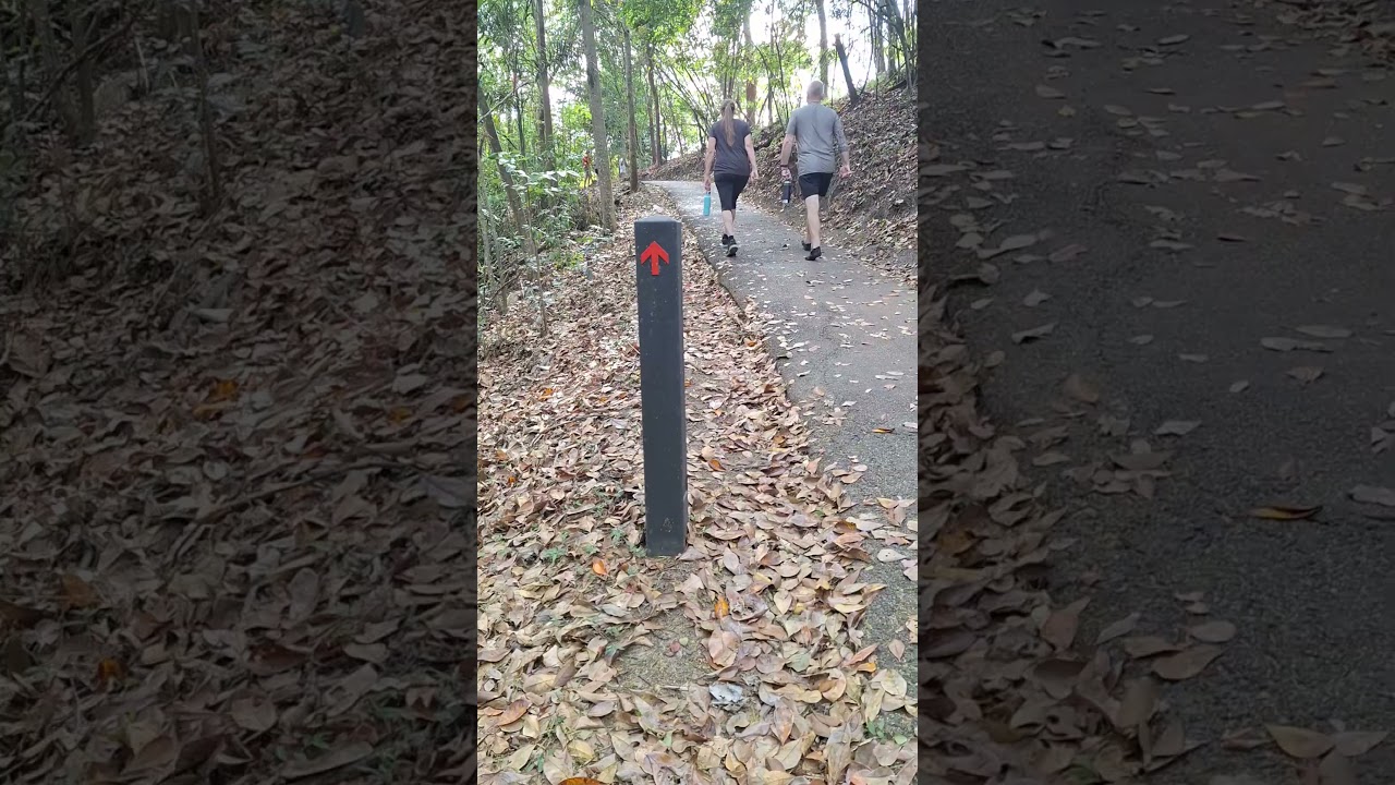 YouTube Short thumbnail