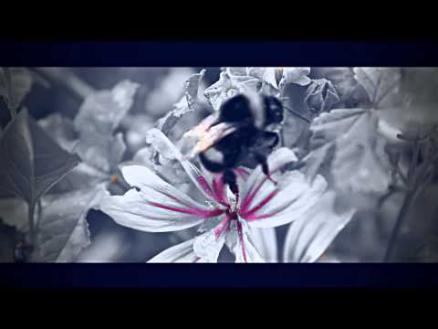 D.O.C. - Invisibile (Official Video)