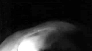 youth of america - the melvins