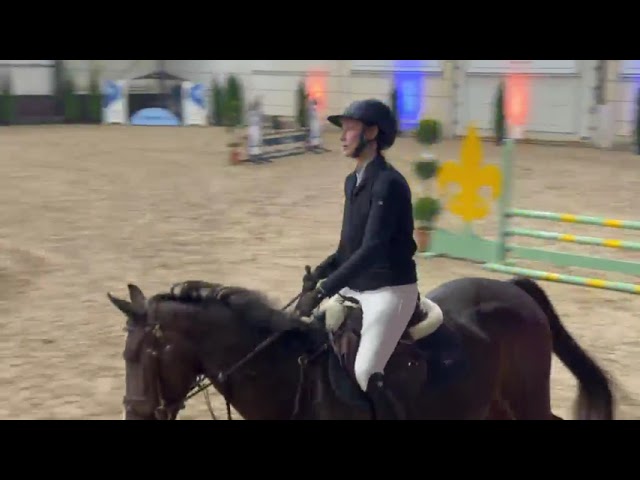 Indoor class show movie Rolanta WD (Lovemaker VDP x Chin Chin).