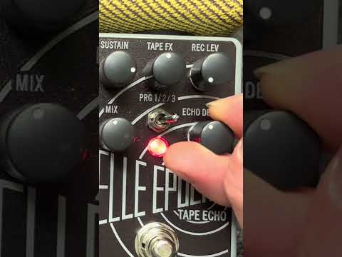 Catalinbread Belle Epoch + Tape Echo 2025 - Black / Silver Bild 10
