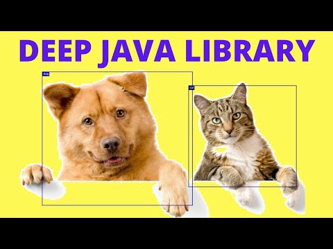 Deep Java Library Explain Amazon Example Java Code Dog Cat Deep Learning Code Interviewdot