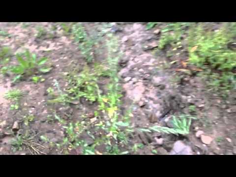 Radevormwald Sportplatz Hermannstraße: Regenerosion am neuen Sportplatz