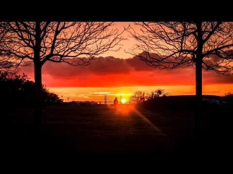 The Lifted - Mr. Sandman (feat. Ashliann) (legendado)