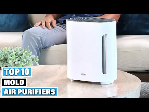Top 10 Best Air Purifiers for Mold (2025)