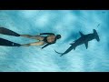 This Island Has It ALL SHARKS Stingrays Spearfishing And Ep 66
