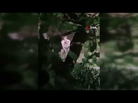 Bartın’da suya atlayan şahsı ekipler kurtardı