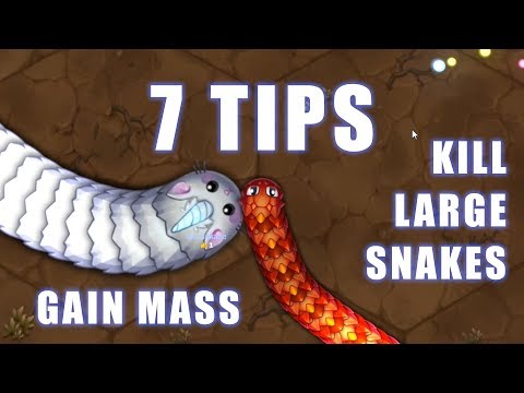7 Tips to Kill Large Snakes and Gain Mass- Little Big Snake Game Tutorial