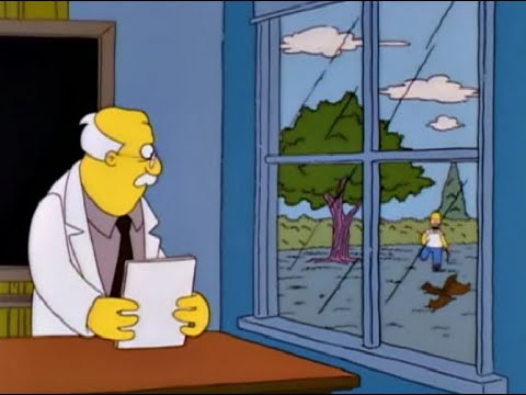 The Simpsons S05E03 - Homer an der Uni - Homer jagt Eichhörnchen [Deutsch/German]