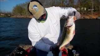 preview picture of video 'Hudson Lunker 2013'
