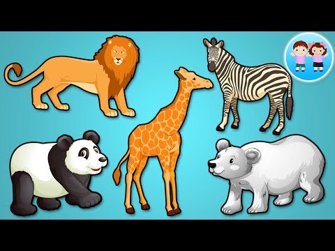 Animalele la Gradina Zoologica - Alege Silueta - Dreapta sau Stanga