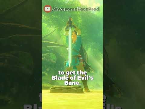 Two Ways to get The Master Sword in Breath of the Wild #shorts #zelda #nintendo