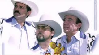 NIDO CAIDO MIGUEL Y MIGUEL