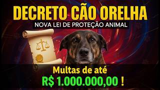 BOMBA!!! MULTAS DE ATÉ 1 MILHÃO E PRISÃO!!! DECRETO CÃO ORELHA APROVADO!!! 🐶🐶🐶