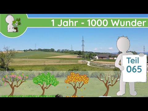 1 Jahr - 1000 Wunder "Trocken 🐫 & Feucht 🐸" (Teil 065 - 18.05.2019) - Pflanzen Doku/Dokumentation