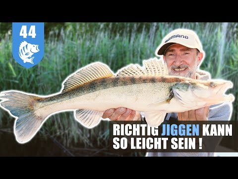 SOLID TIP: Zander is so easy!