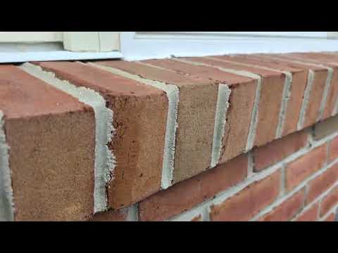 Ants Going From the Mulch Bed to Inside the Home in Spring Lake, NJ