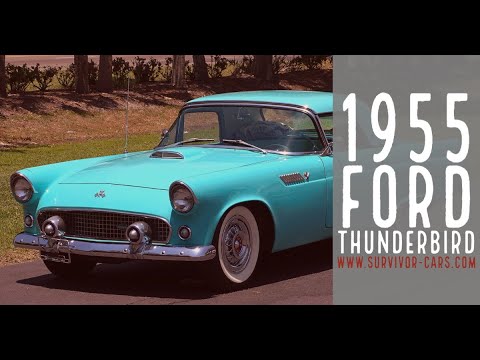 1955 Ford Thunderbird (CC-1481953) for sale in Palmetto, Florida