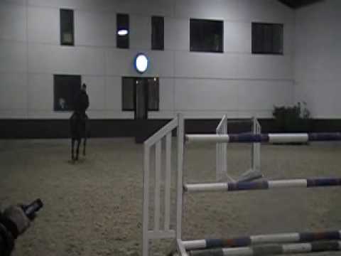 Rodrigo Pessoa and Noah .wmv