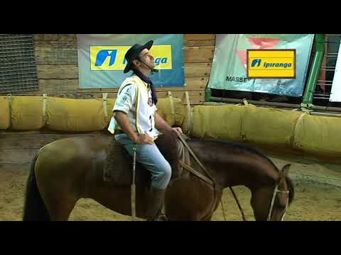 Classificatória de Araranguá - 2º lugar fêmeas - Jeitosa do Mano a Mano (Mangueira II)