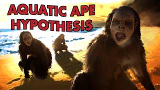 The Most Bizarre Idea in Human Evolution - The Aquatic Ape Hypothesis MQDEFAULT Thumbnail