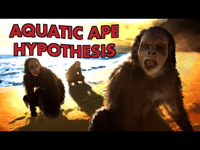 The Most Bizarre Idea in Human Evolution - The Aquatic Ape Hypothesis SDDEFAULT Thumbnail