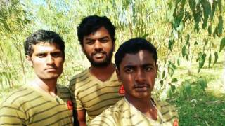 Download lagu Hi santu mp3 Download lagu Hi santu mp3