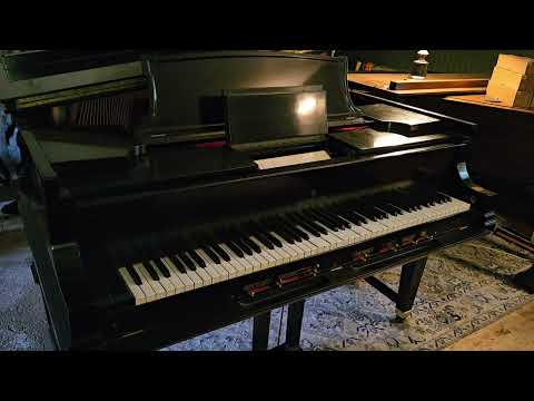 1925 Steinway XR Duo Art - Ho-Hum! - Victor Arden