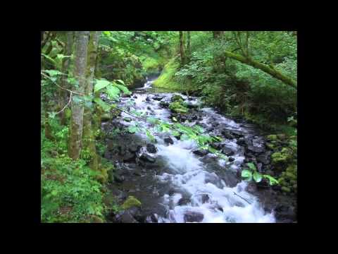 Nek Te Drava Poljubi (Jerry Grcevich)