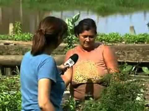 Globo Repórter - Mundo das Águas Amazônicas - 01/10/10 - Parte 2