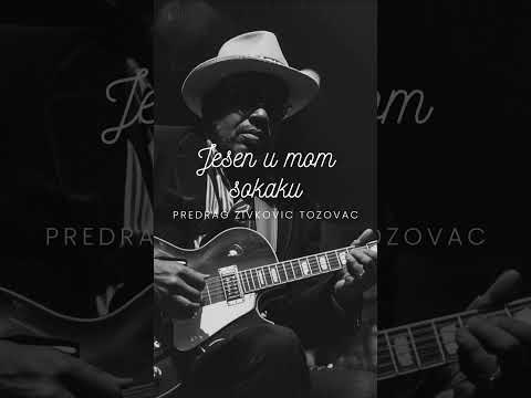 Jesen U Mom Sokaku – (Blues Cover 1981's)