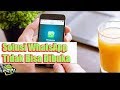 Cara Mengatasi WhatsApp ERROR/Tidak Bisa Dibuka Di Android Cara Mengatasi WhatsApp ERROR/Tidak Bisa Dibuka Di Android