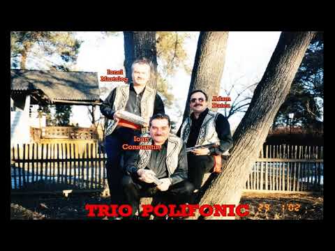 GEAMPARALELE  cu TRIO POLIFONIC