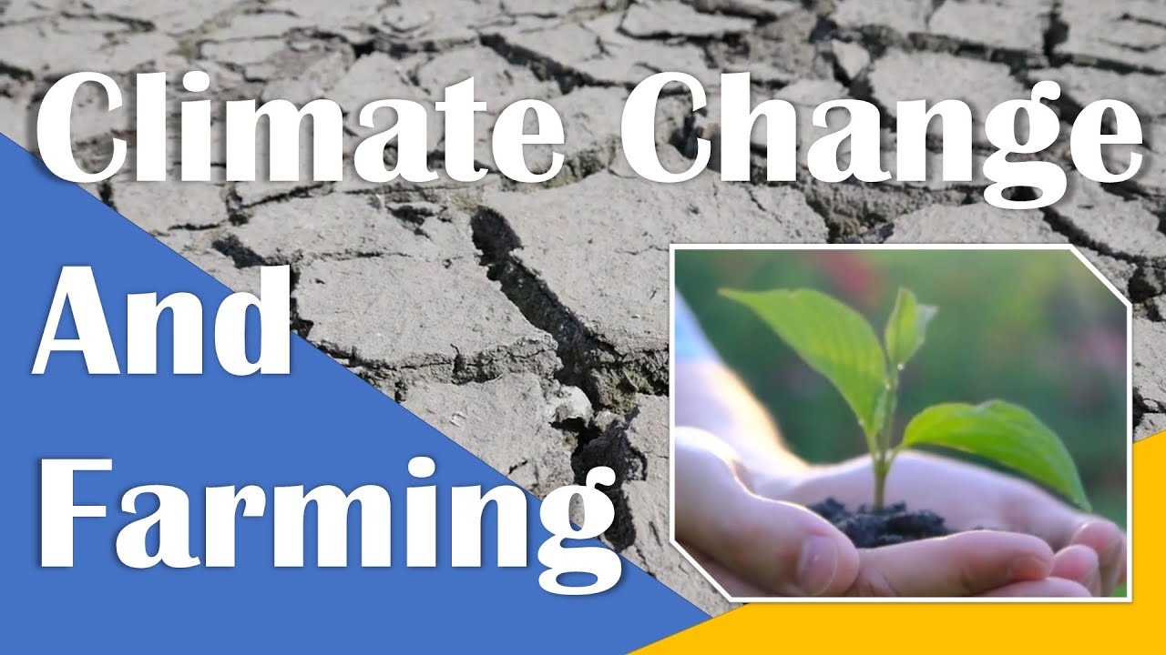 The effects of climate change on farming - Extremes, Temperatures, Pests and Food!
