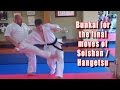 Practical Kata Bunkai End Of Seishan Hangetsu