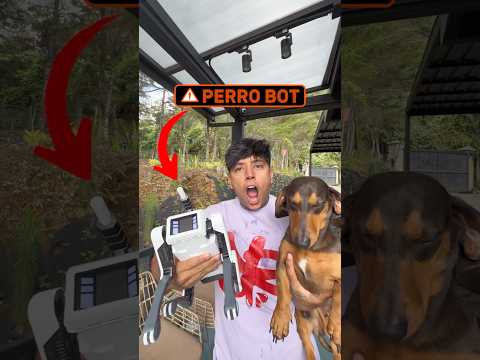 Mi perro está celoso de perro bot